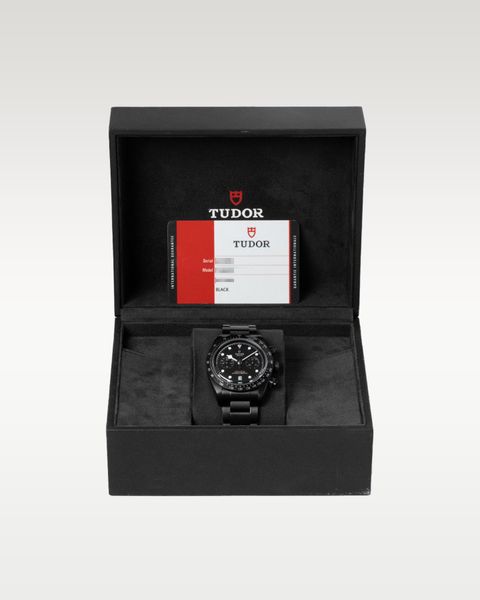 Tudor Black Bay 79360DK
